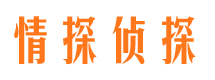 文登市侦探调查公司